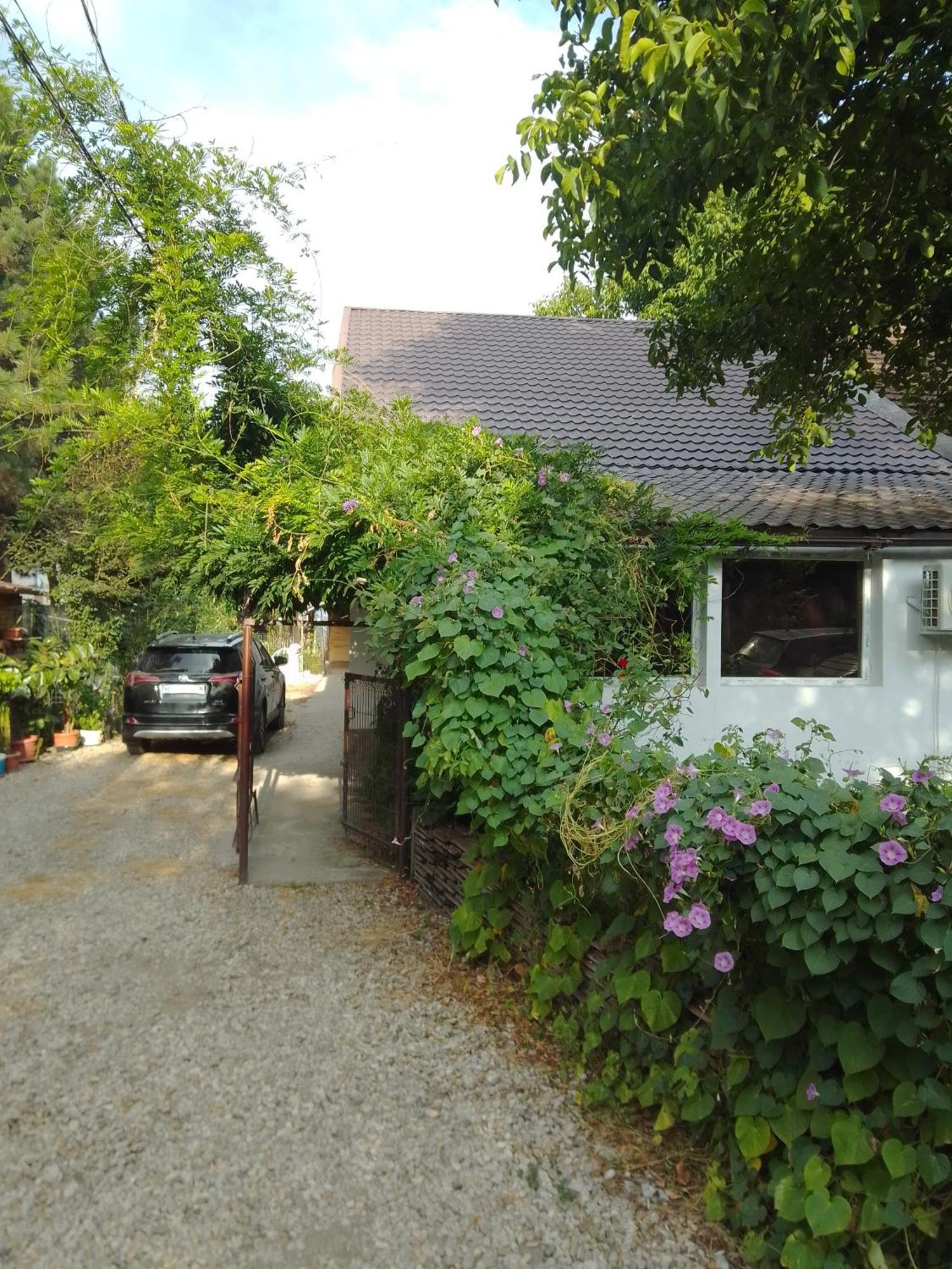Casa Mocanu Giurgiu Exterior photo
